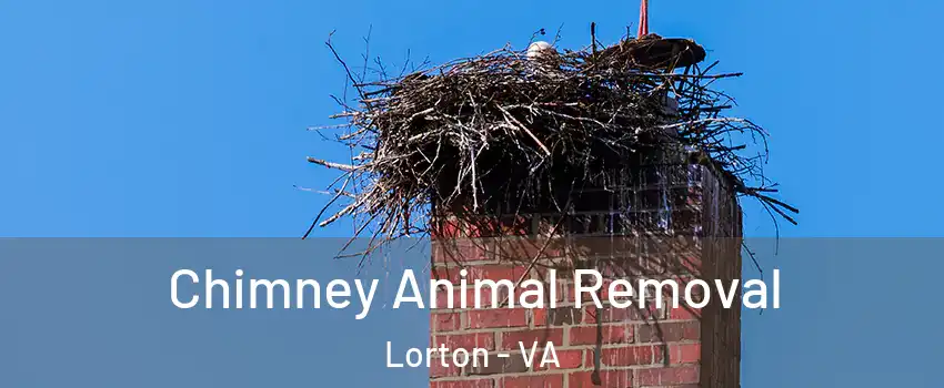  Chimney Animal Removal Lorton - VA