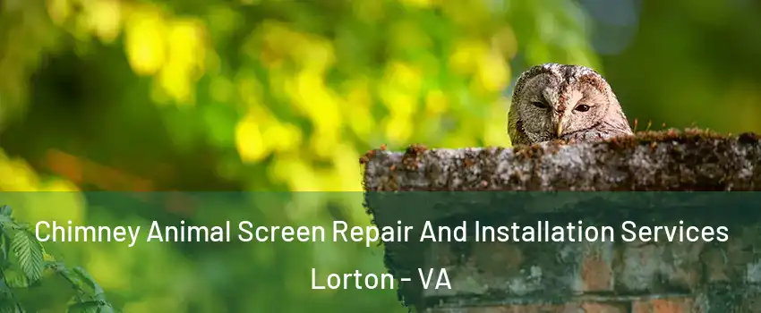  Chimney Animal Screen Repair And Installation Services Lorton - VA