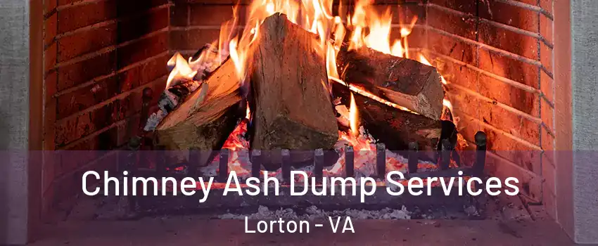  Chimney Ash Dump Services Lorton - VA