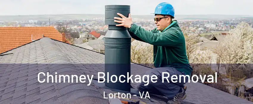  Chimney Blockage Removal Lorton - VA