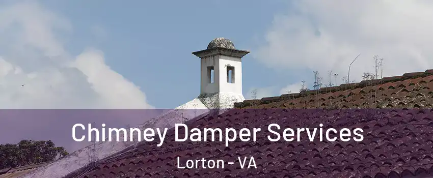  Chimney Damper Services Lorton - VA