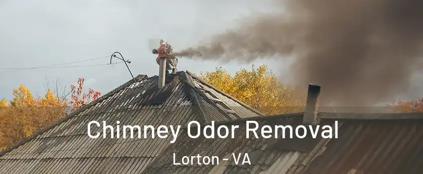 Chimney Odor Removal Lorton - VA