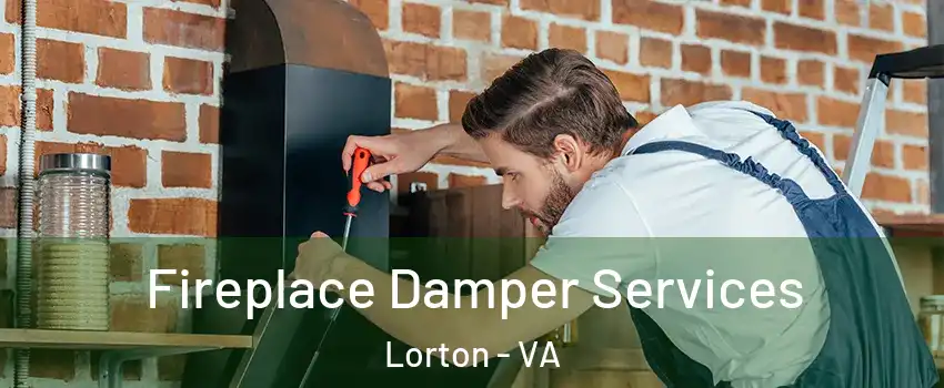  Fireplace Damper Services Lorton - VA