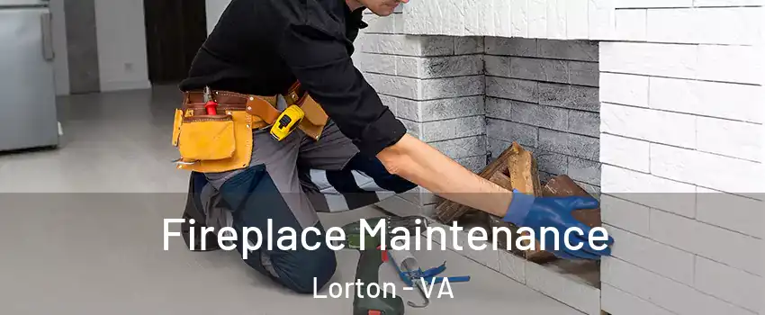  Fireplace Maintenance Lorton - VA
