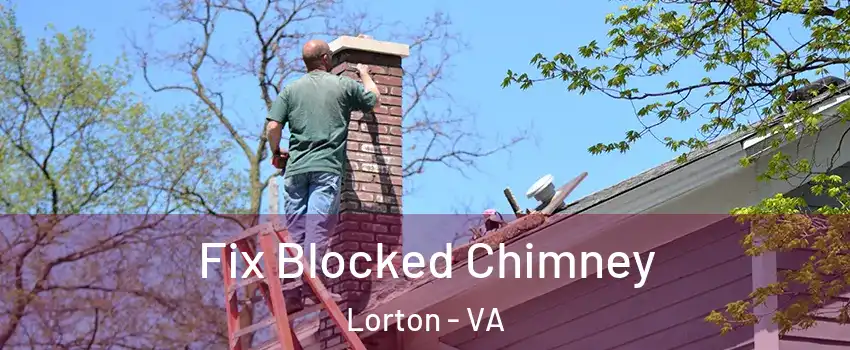  Fix Blocked Chimney Lorton - VA