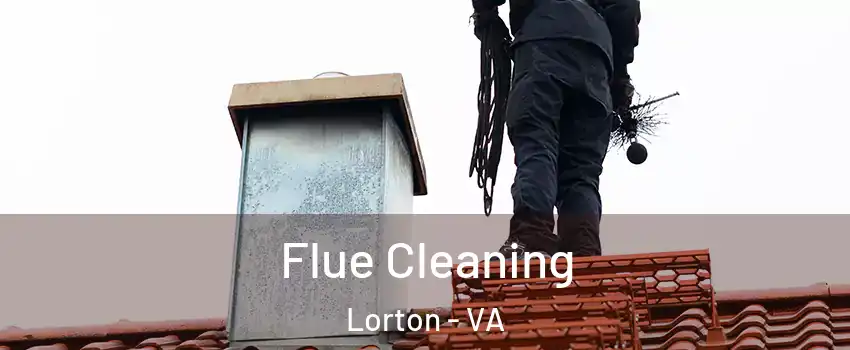  Flue Cleaning Lorton - VA