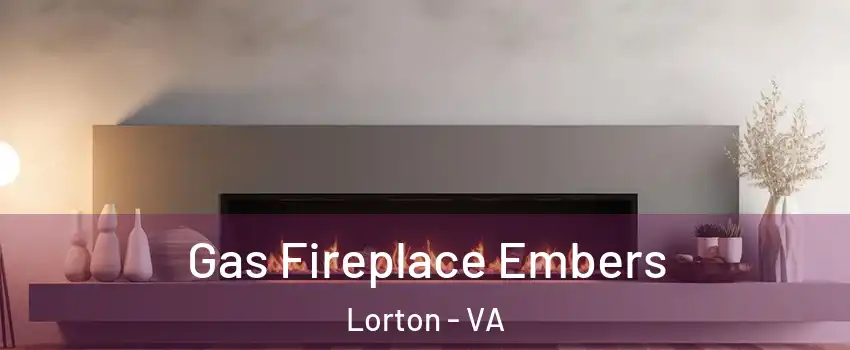  Gas Fireplace Embers Lorton - VA