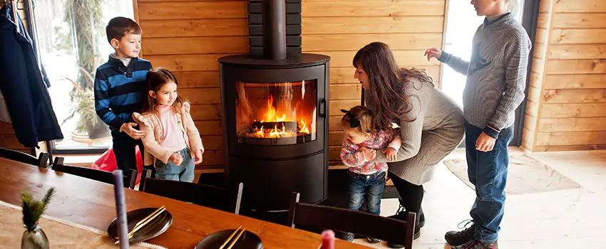 Jøtul Gas Fireplace Inspection Service in Lorton, Virginia