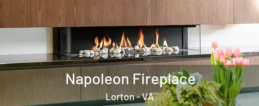  Napoleon Fireplace Lorton - VA