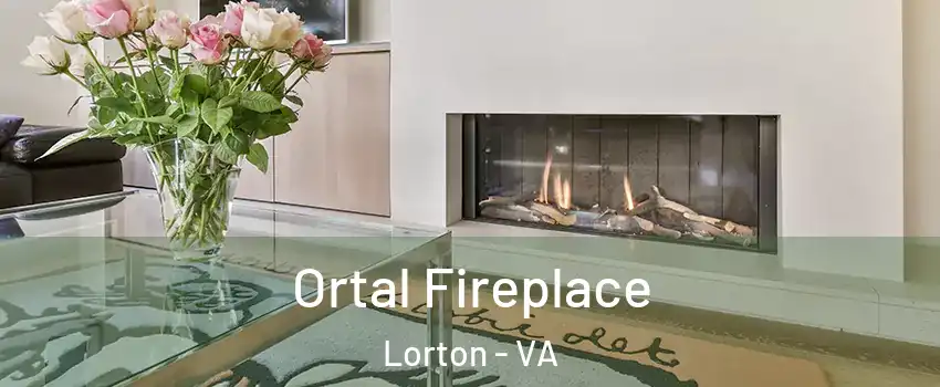  Ortal Fireplace Lorton - VA